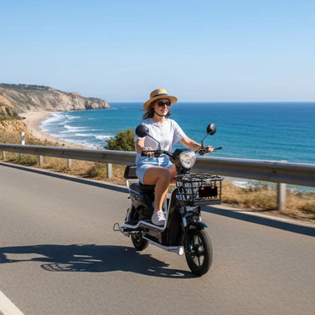 Wholesale 350W Classic Electric Bike