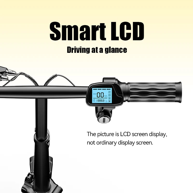 E-Bike, Max Load Capacity Of 330LBS