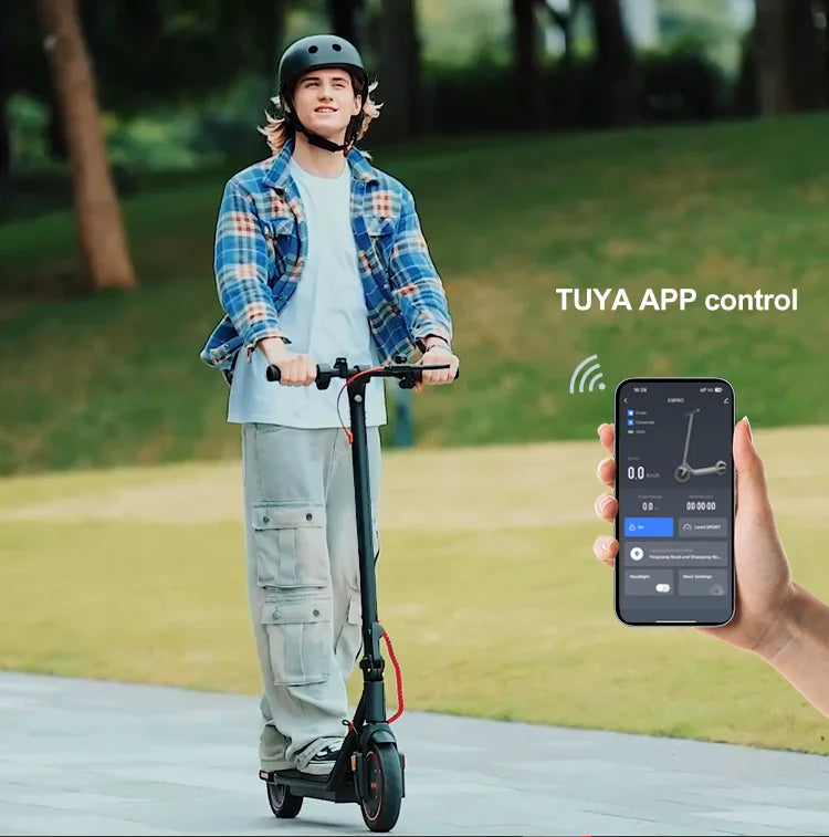 Wildstride Electric Scooter 350W Motor 8.5"