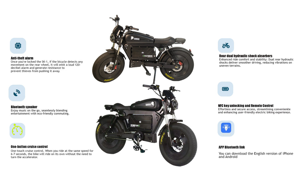 Electric Bike for Adults