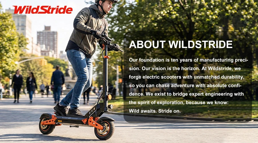 Wildstride Electric Scooter 350W Motor 8.5"